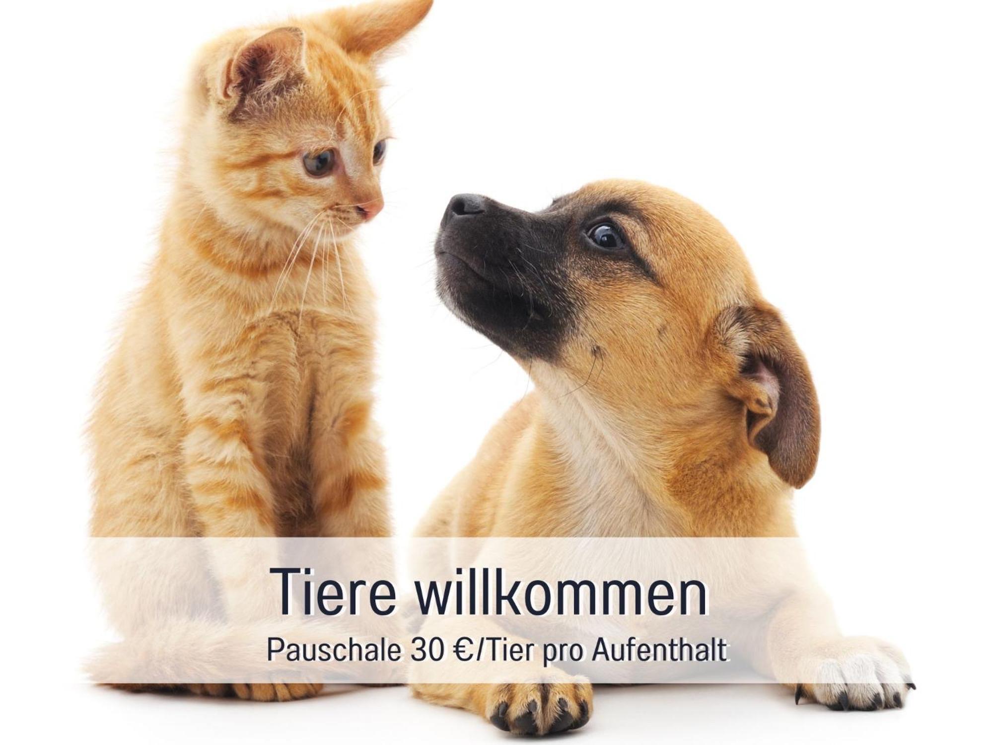 Sonnenterrasse - 3 Schlafzimmer, Whirlpool & Alpenblick - Perfekt Fuer Romantik Oder Familienurlaub Mit Kind , Hund Willkommen By Ferienwohnenamsee - Uberlingen Luaran gambar