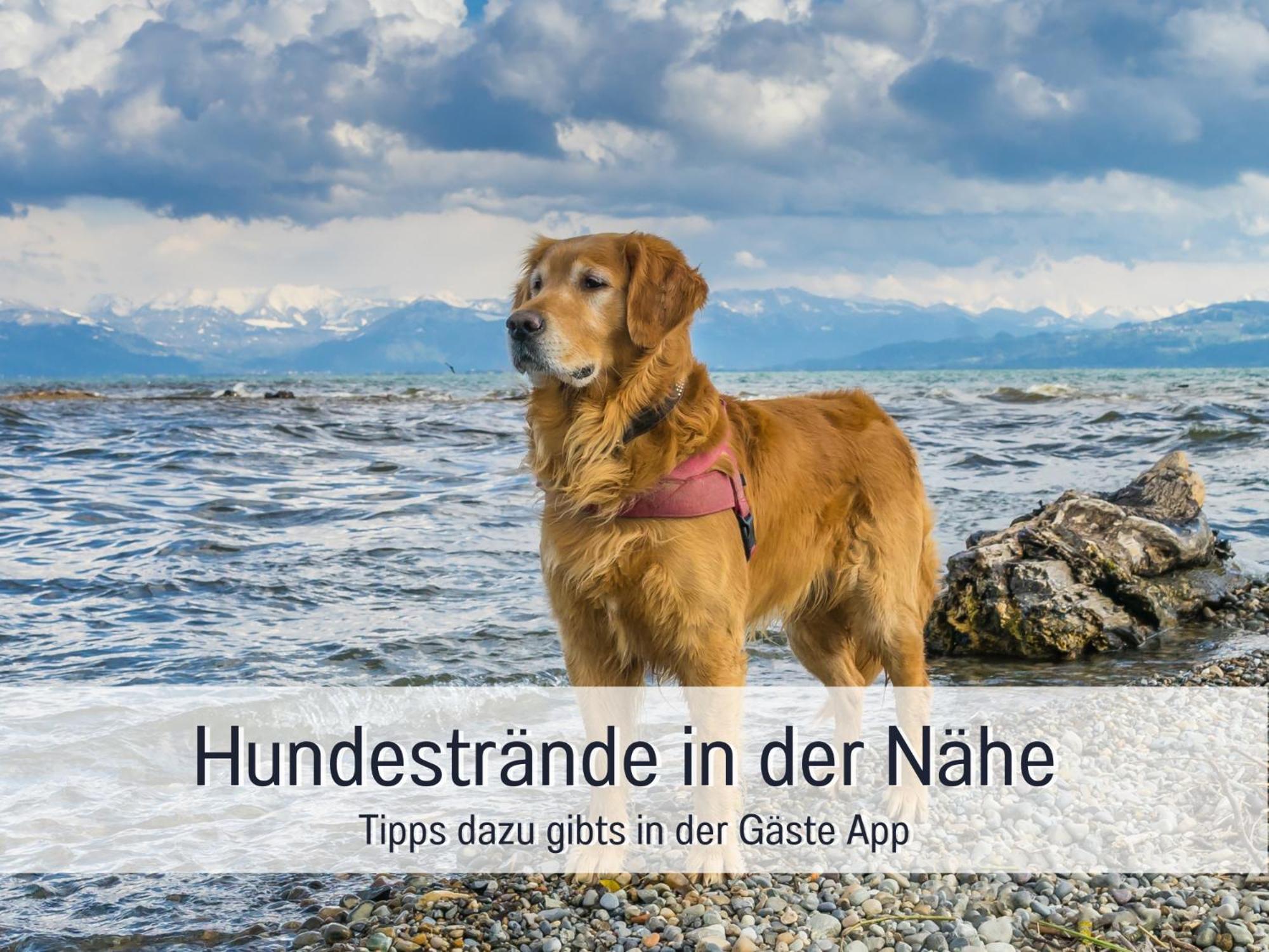 Sonnenterrasse - 3 Schlafzimmer, Whirlpool & Alpenblick - Perfekt Fuer Romantik Oder Familienurlaub Mit Kind , Hund Willkommen By Ferienwohnenamsee - Uberlingen Luaran gambar