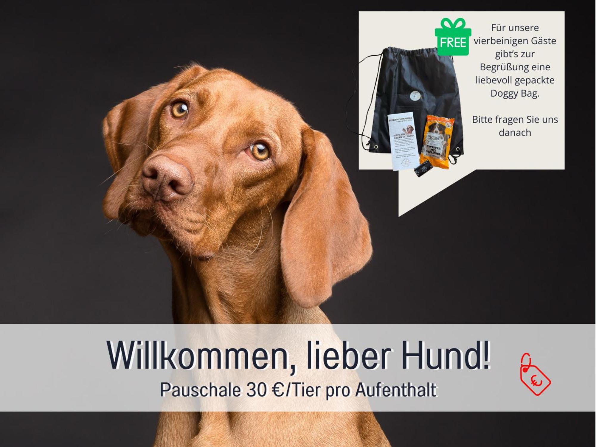 Sonnenterrasse - 3 Schlafzimmer, Whirlpool & Alpenblick - Perfekt Fuer Romantik Oder Familienurlaub Mit Kind , Hund Willkommen By Ferienwohnenamsee - Uberlingen Luaran gambar